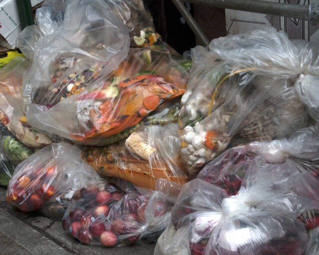 Unsold vegetables in bags, put out in the garbage, outside a grocery store - Bio Collectors